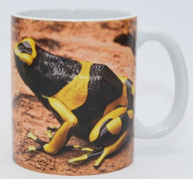 Kaffeebecher "Dendrobates leucomelas"